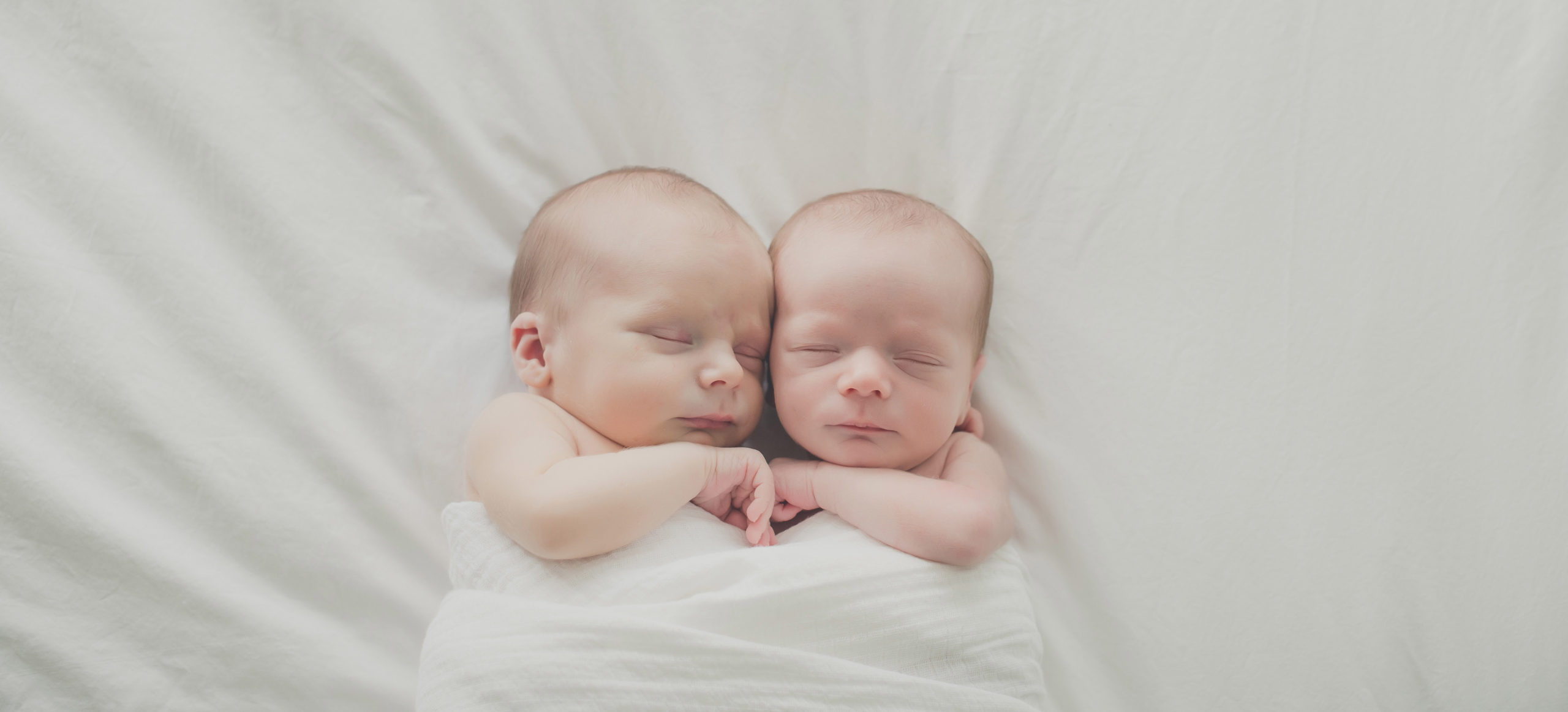 twin newborn session in Charlotte