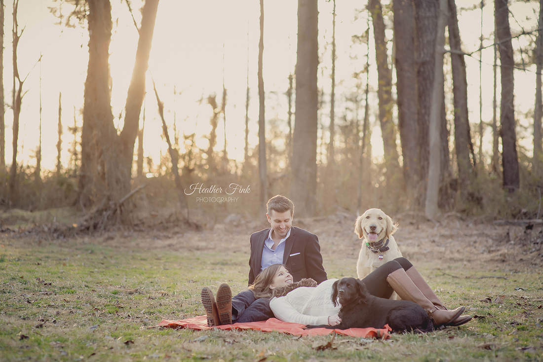 maternity session outdoors with dogs