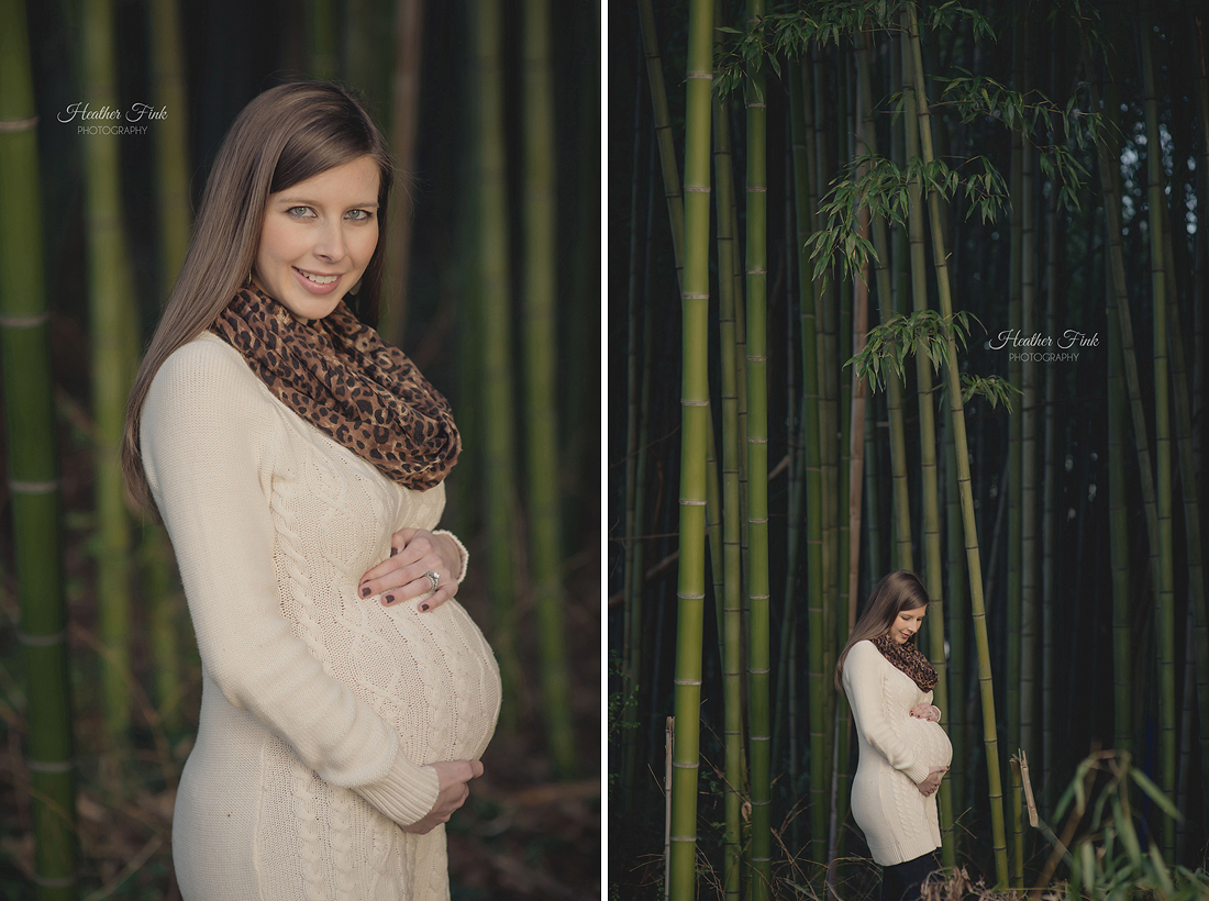 maternity portrait in a bamboo forest