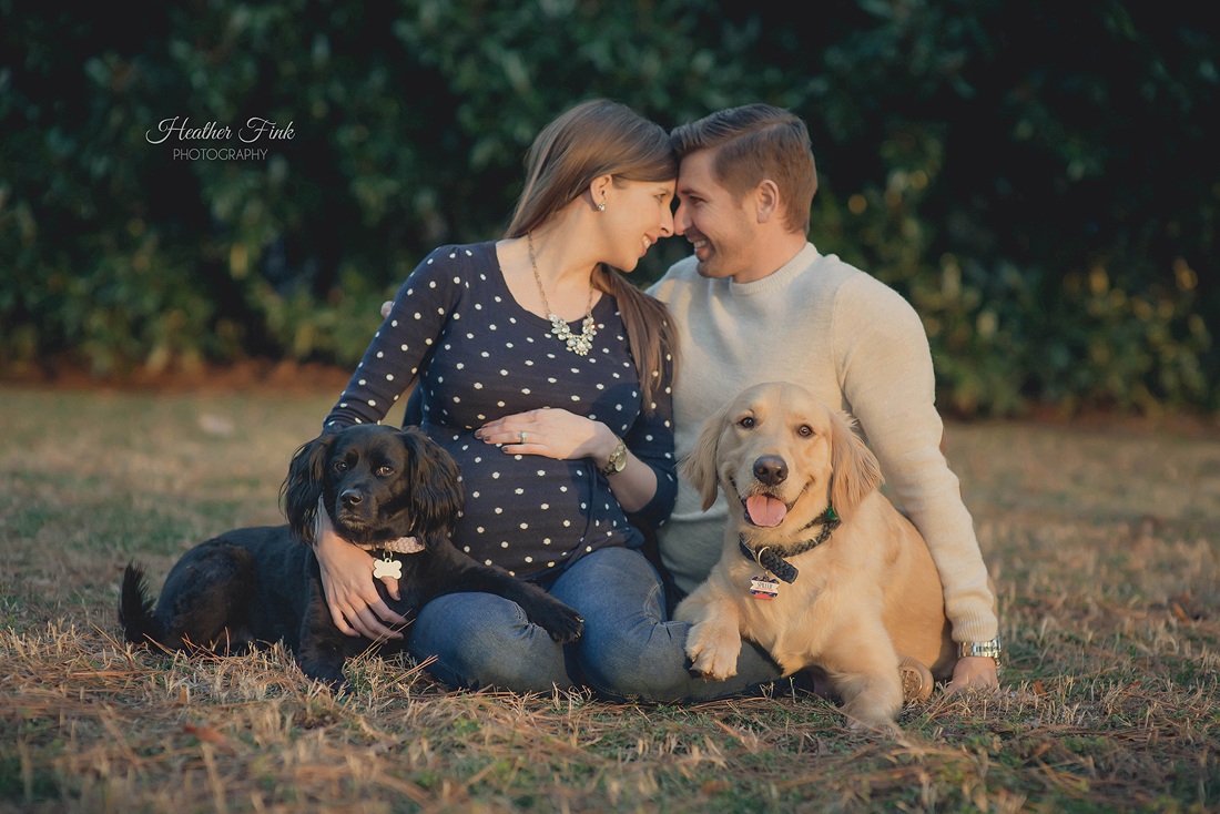 pregnant couple sitting with their two dogs