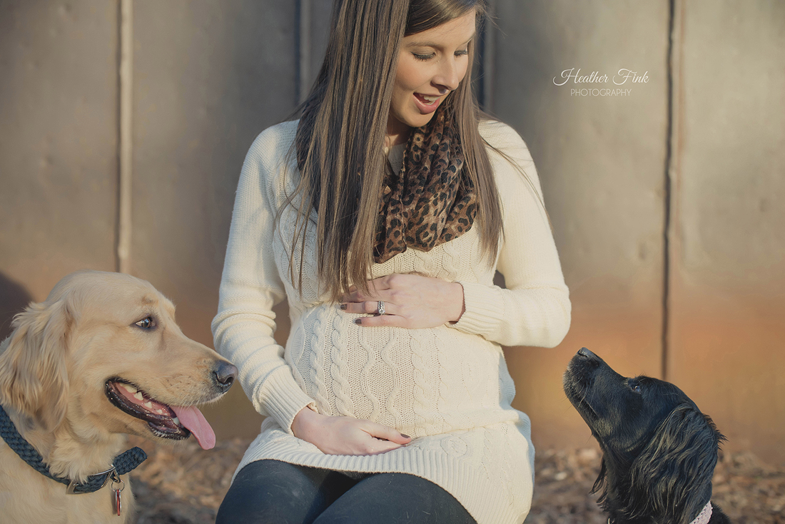 pregnant woman looking at her dogs