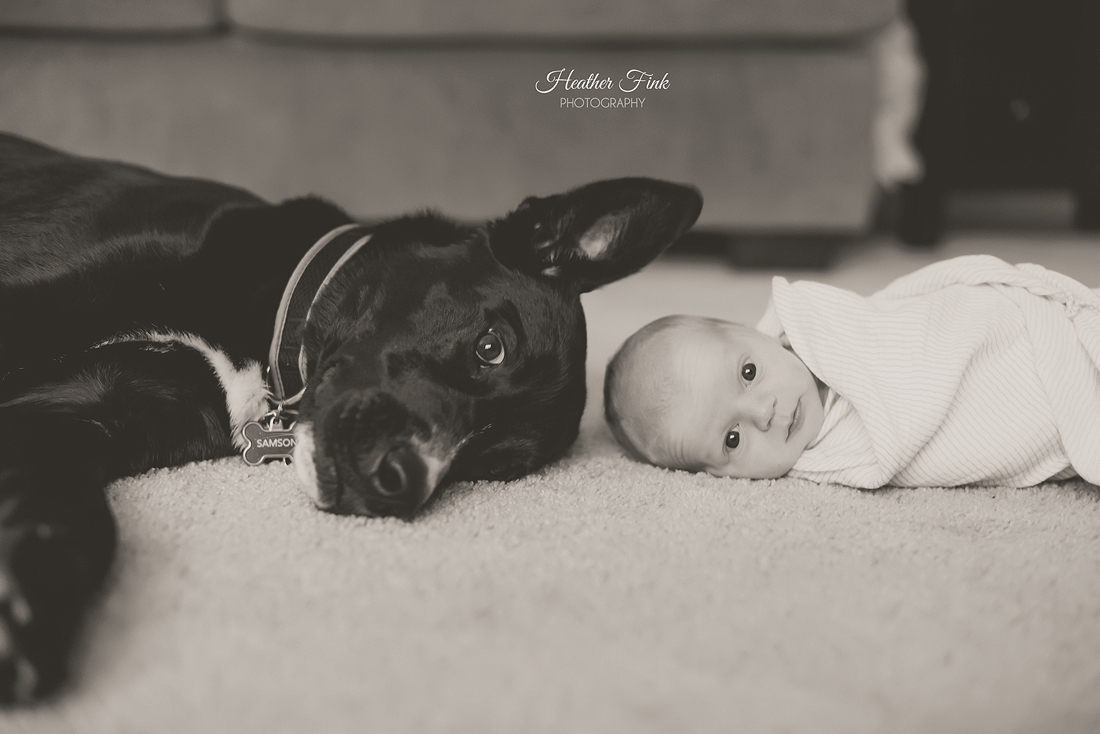 family dog laying with newborn baby on floor