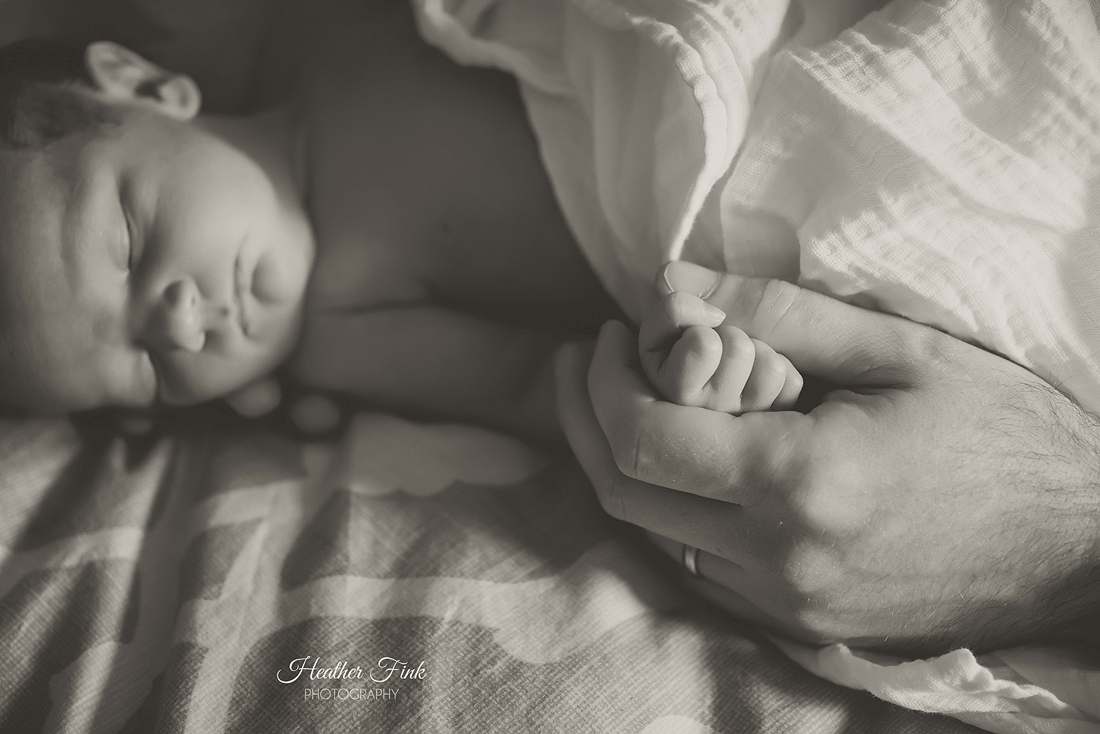daddy holding newborn baby girl's hand