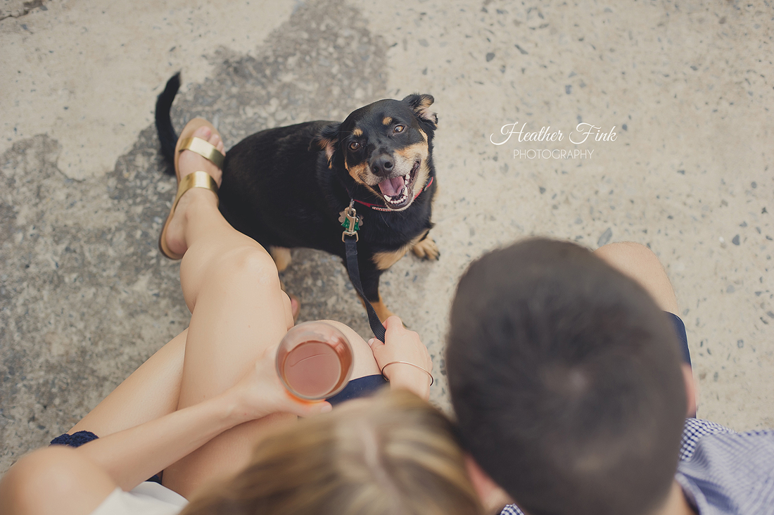 engagement session at sycamore brewing with dog
